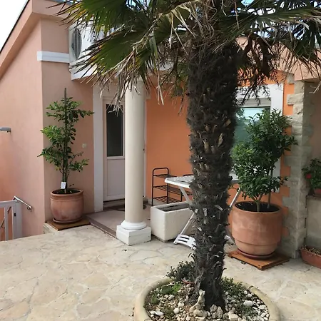 Apartment Valerija Privlaka  Rum bild